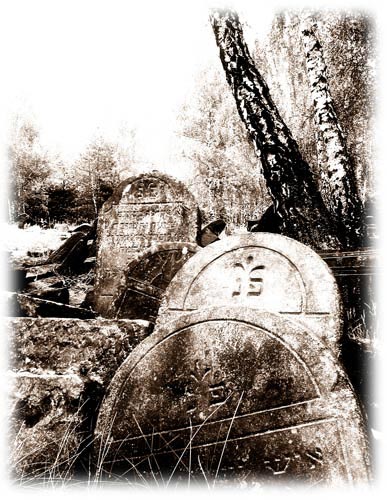 macewy.jpg - Macewy na dawnym cmentarzu żydowskim